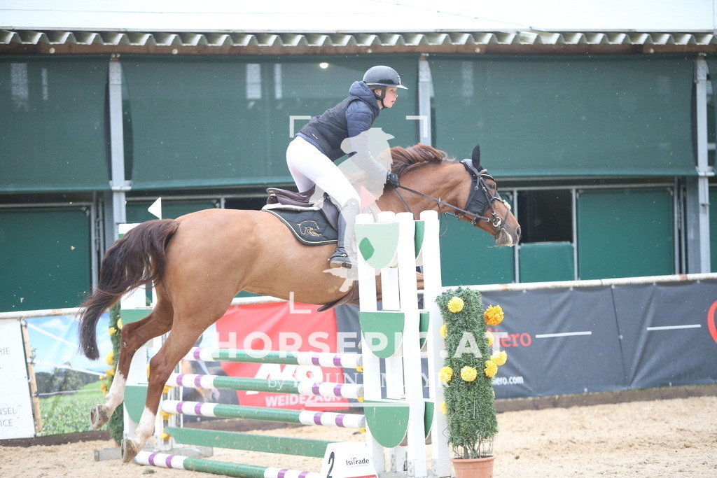 AS8V1731 | Willkommen bei Brunnmayr - Design & Fotografie – Ihrem Spezialisten für Reitturniere und Pferdeveranstaltungen in Oberösterreich, Salzburg und Bayern! Seit über 17 Jahren sind wir leidenschaftlich dabei.