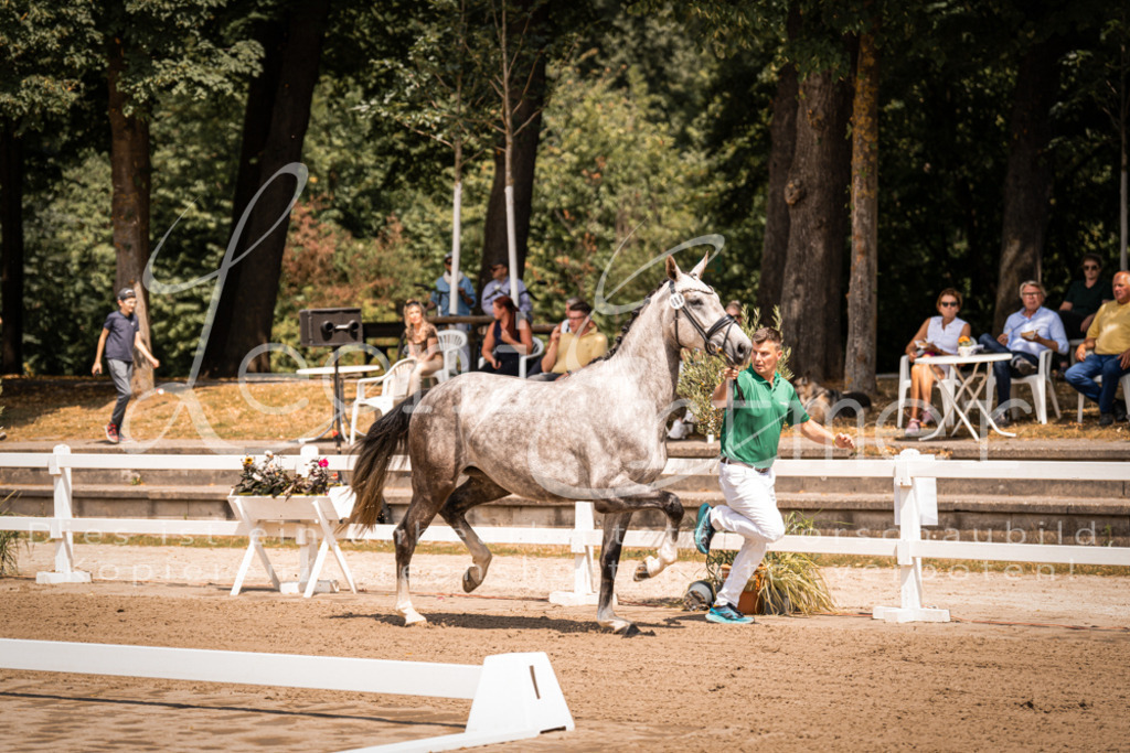 1.Fr00062 | Leoni Ertmer Photography - Realisiert mit Pictrs.com