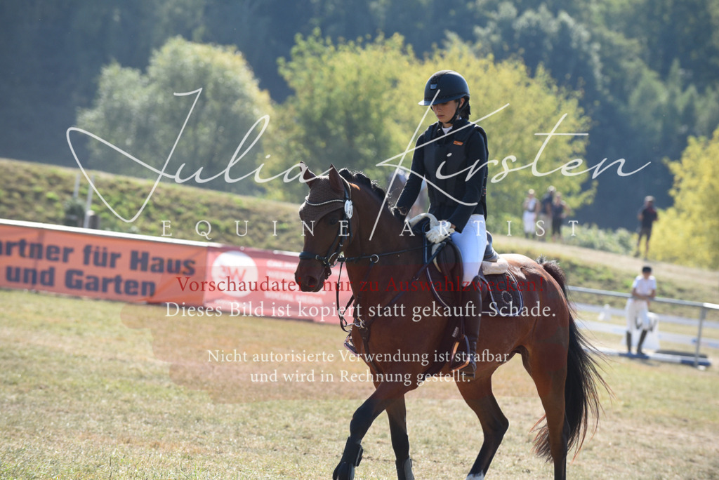 DSC_6118 | Pferde- und Turnierfotografie in Westsachsen. Pferdeportraits, Auftragszeichnungen und intuitive Kunst.