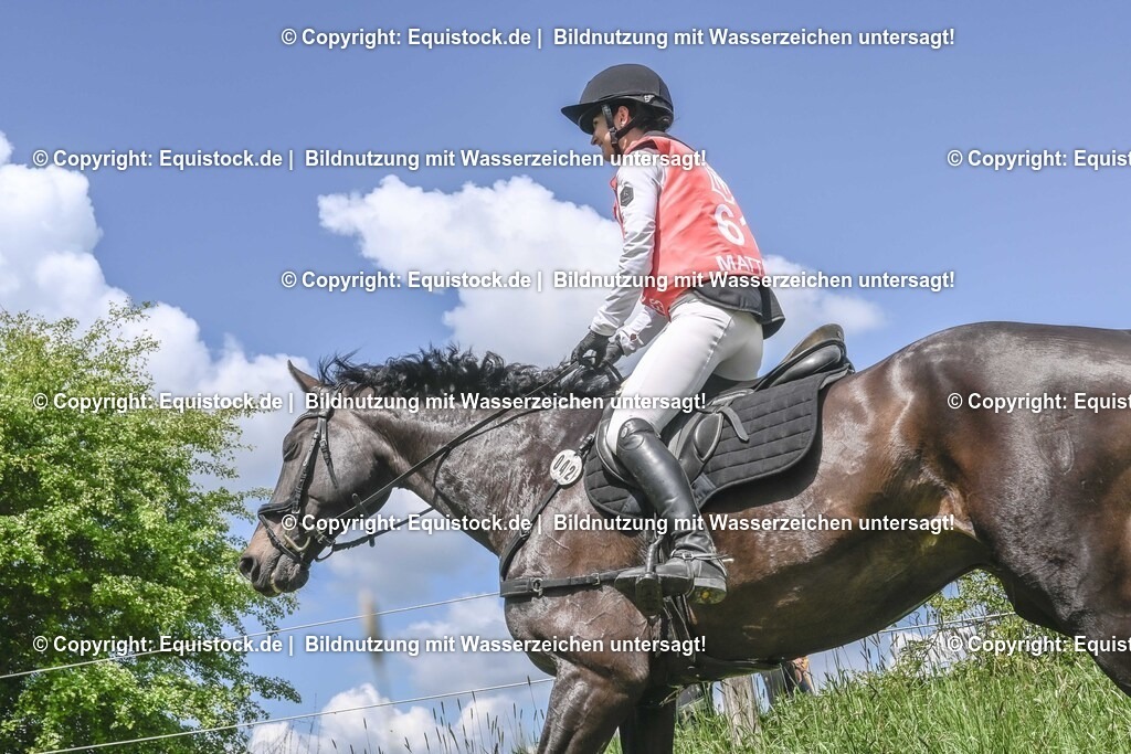 20250517_CCI2_Gelände_1828 | Foto: Thomas Hartig