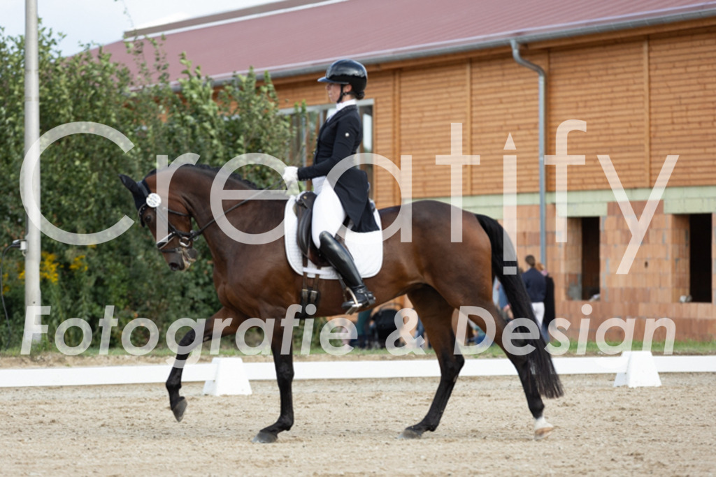 IMG_7137 | Creatify Fotografie