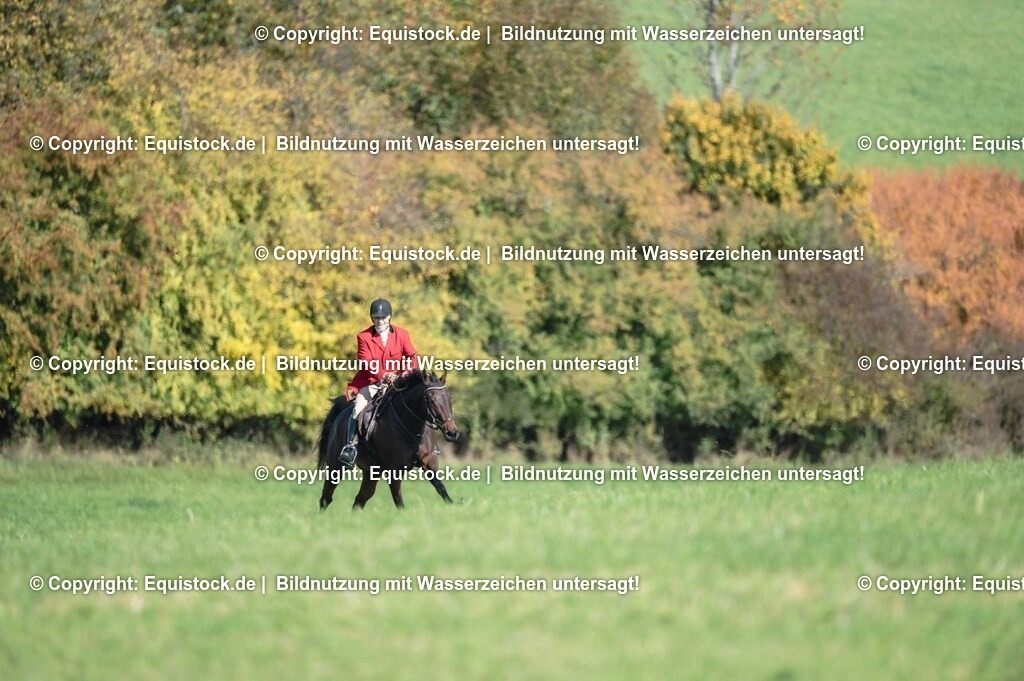 20251011_Jagd-Marbach_0404 | Foto: Thomas Hartig