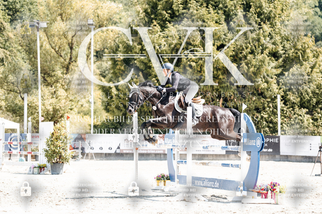 CK900171 | Turnierfotografie Pferdefotografie Trier Rheinland-Pfalz Pferdesport Reitsport Tierfotografie Sportfotografie Pferdevideo Pferdevideografie Equestrianvideography equestrianphotography  - Realisiert mit Pictrs.com