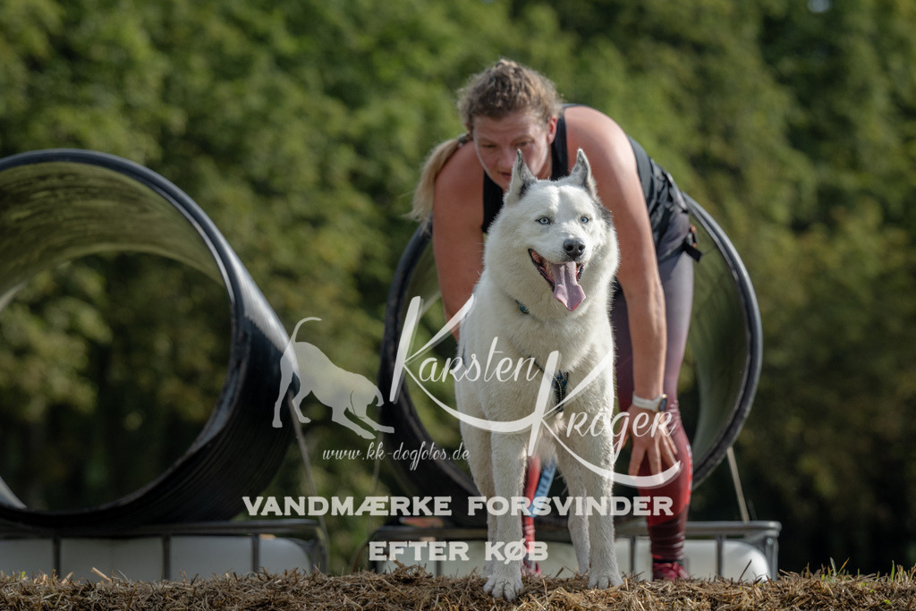 0933_ZZ90697 | kk-dogfotos