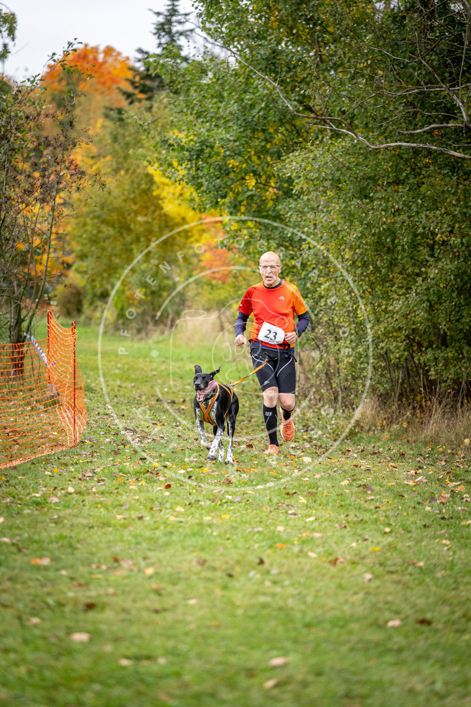 Pfotenfotografie_DV3A1960 | Hundefotografie, Tierfotograf, Pfotenfotografie, Fotoshooting Hund, Hunde Portrait, Hundesport, Hundeportraits, Heideshooting, Hunde, Sportfotograf, Hundefotograf, Turnierhundsport, THS,  - Realisiert mit Pictrs.com