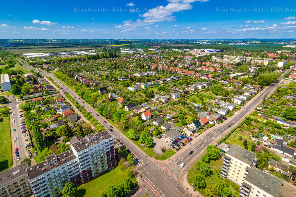 Magdeburg Neustädter Feld Olvenstedter Graseweg Birkenweiler-2370 | Neustädter Feld Olvenstedter Graseweg Birkenweiler - Realisiert mit Pictrs.com