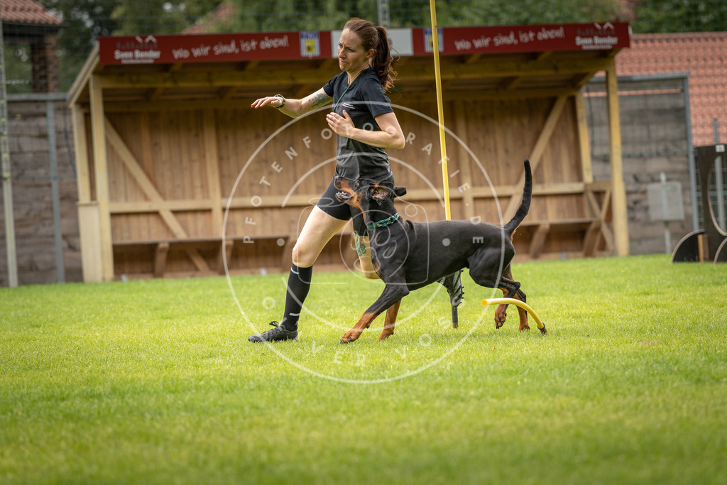 Pfotenfotografie_DV3A0641 | Hundefotografie, Tierfotograf, Pfotenfotografie, Fotoshooting Hund, Hunde Portrait, Hundesport, Hundeportraits, Heideshooting, Hunde, Sportfotograf, Hundefotograf, Turnierhundsport, THS,  - Realisiert mit Pictrs.com