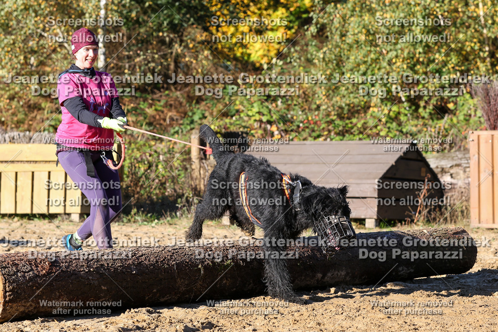 Dog Paparazzi - Strongdog 10-25-1655 | Dog Paparazzi Jeanette Grottendiek Fotografie & Videografie - Realisiert mit Pictrs.com