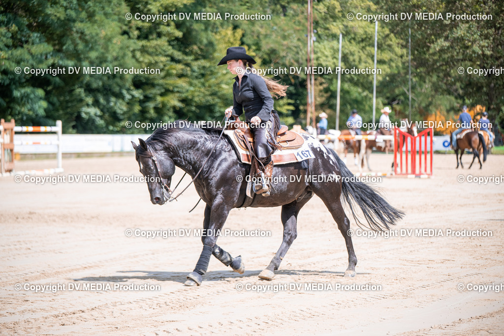 ZS3_5239 | dv-media-shop - Realisiert mit Pictrs.com