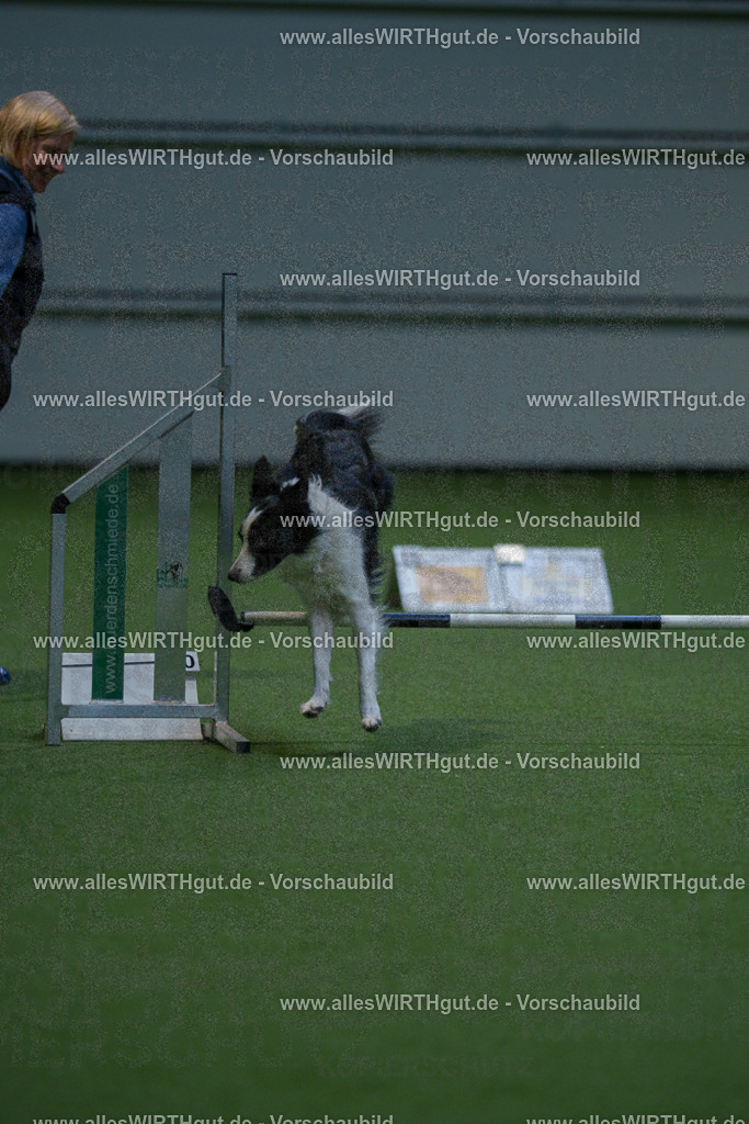 7R501046 | Professionelle Tierfotografie in Mönchengladbach von Daniel Wirth (allesWIRTHgut). Liebevolle & natürliche Bilder von Hunden & Katzen für unvergessliche Erinnerungen.