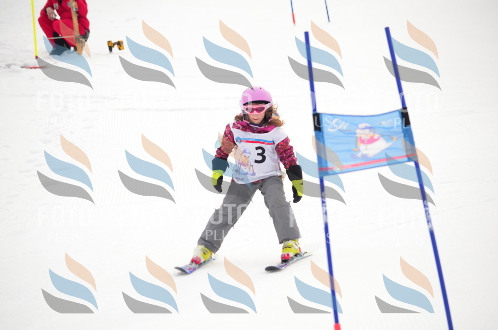 B9116 | holidayphoto