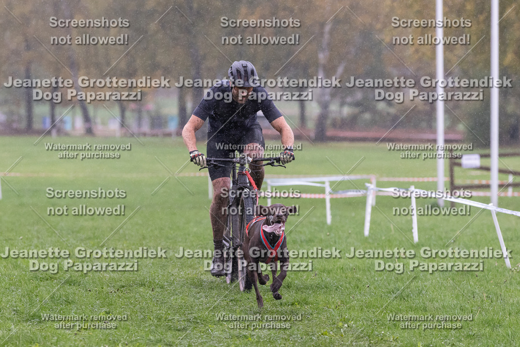 Dog Paparazzi - SD CaniX Championship 2025-918 | Dog Paparazzi Jeanette Grottendiek Fotografie & Videografie - Realisiert mit Pictrs.com