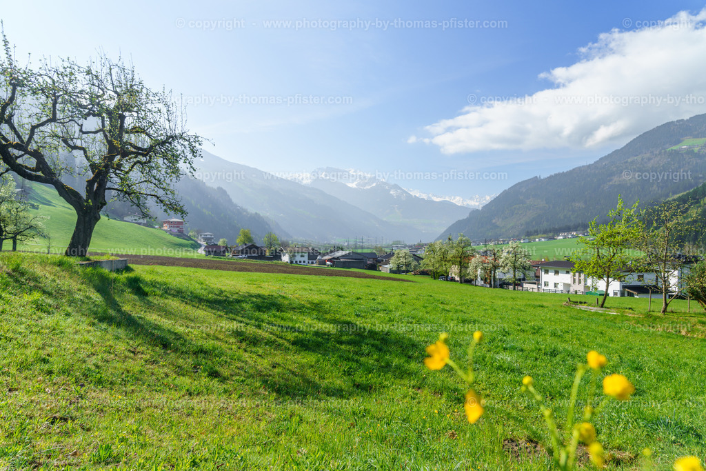 Stumm im Frühling copyright  Thomas Pfister-9 | PHOTOGRAPHY BY THOMAS PFISTER