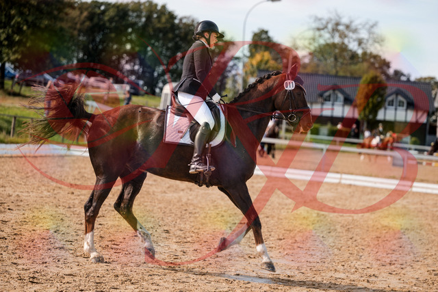 2026_10_03_Siefer-Hof_132348_Z63_85820838 | Professionelle Reitsport-, Turnier- und Eventfotografie von Robert Broda. Galerien mit ausgewählten und bearbeiteten Bildern direkt online ansehen und bestellen.