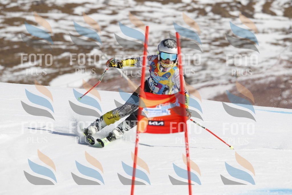 _U3G9269 | holidayphoto