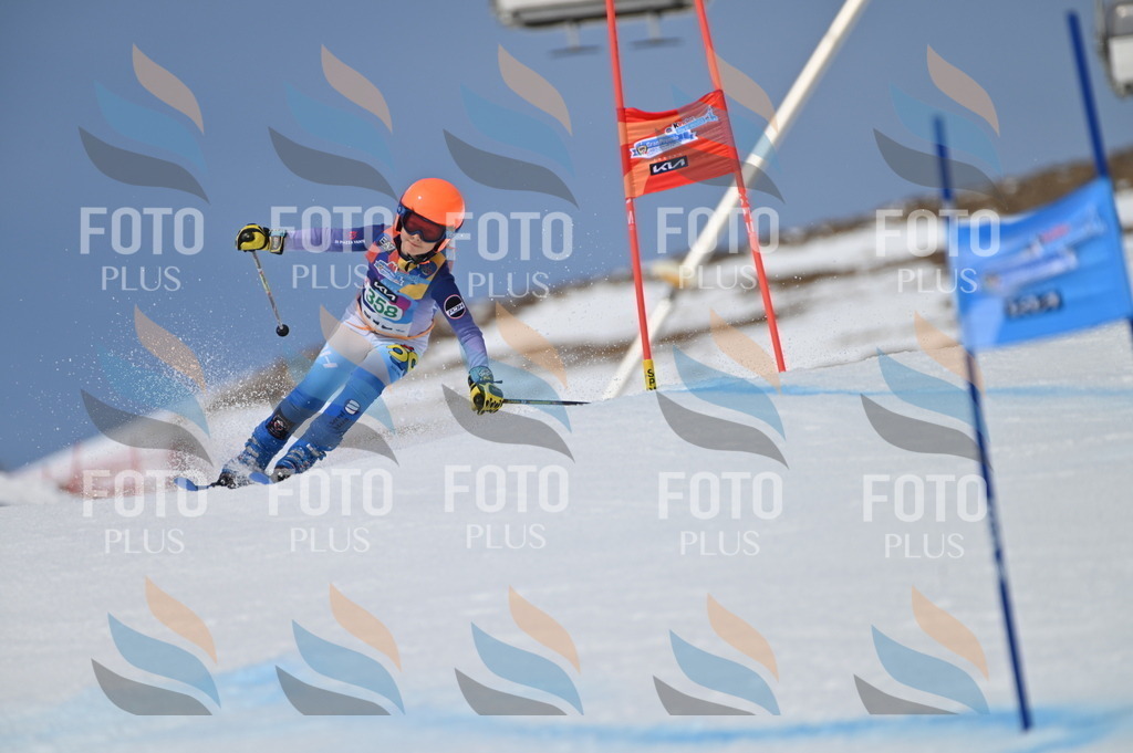 BGV_7063 | holidayphoto