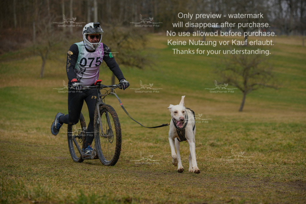 Sa_Scooter1-220 | stephaniefillaphotographie - Realisiert mit Pictrs.com