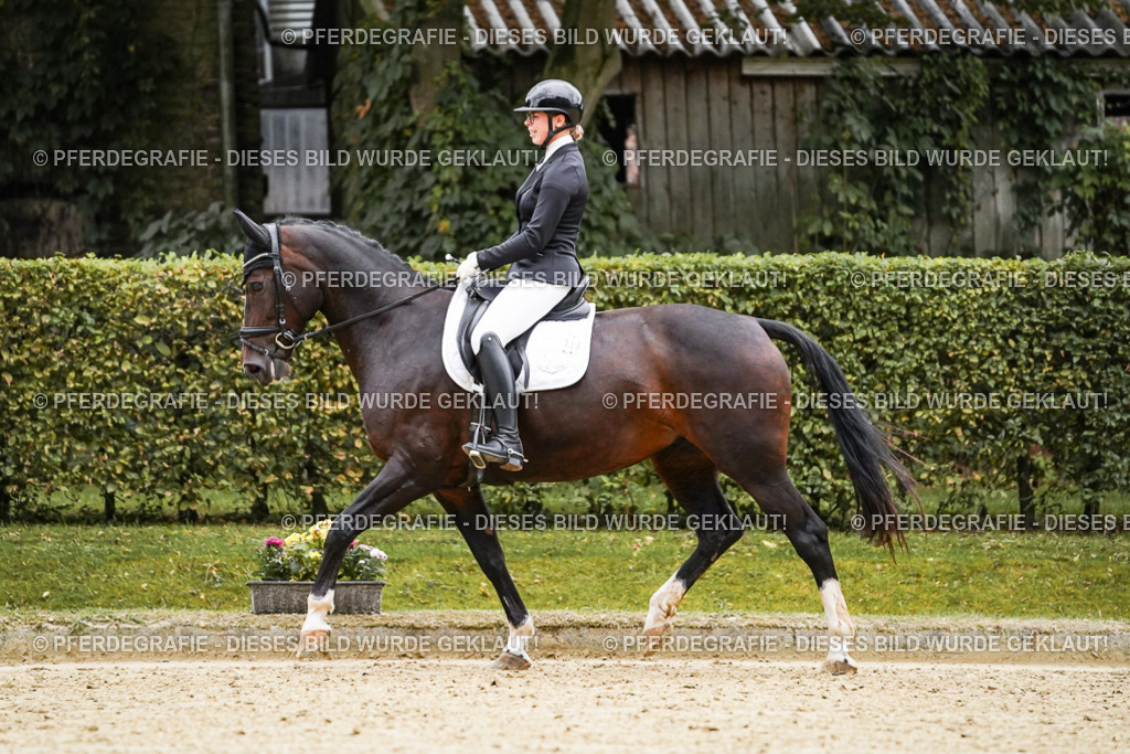 DSC06699 | Pferdegrafie