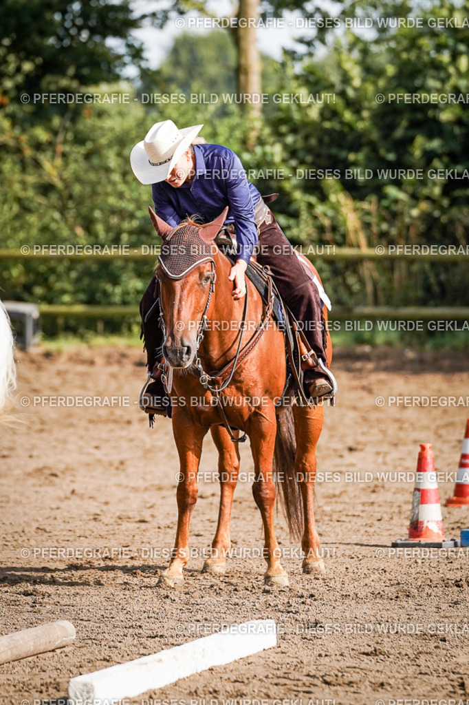 DSC00365 | Pferdegrafie