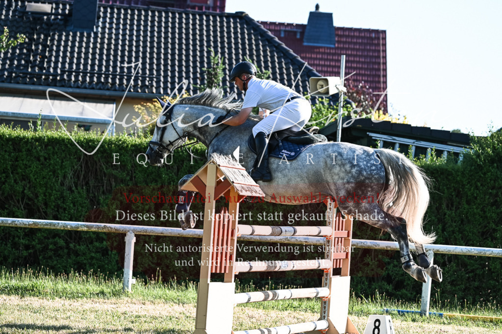 DSC_2829 | Pferde- und Turnierfotografie in Westsachsen. Pferdeportraits, Auftragszeichnungen und intuitive Kunst.