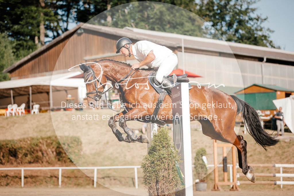 3I6A6339 | Stimmungsvolle Portraits und Reitsportfotografie im Ruhrgebiet und im Münsterland.

Pferdefotografie, Hundefotografie, Tierfotografie, Reportagen, Portraits von Tier und Mensch, Turnierfotografie in Bochum, Recklinghausen, Marl, Haltern am See, Dülmen.. - Realisiert mit Pictrs.com
