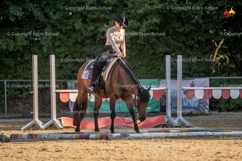 LMS04808 | BS-foto