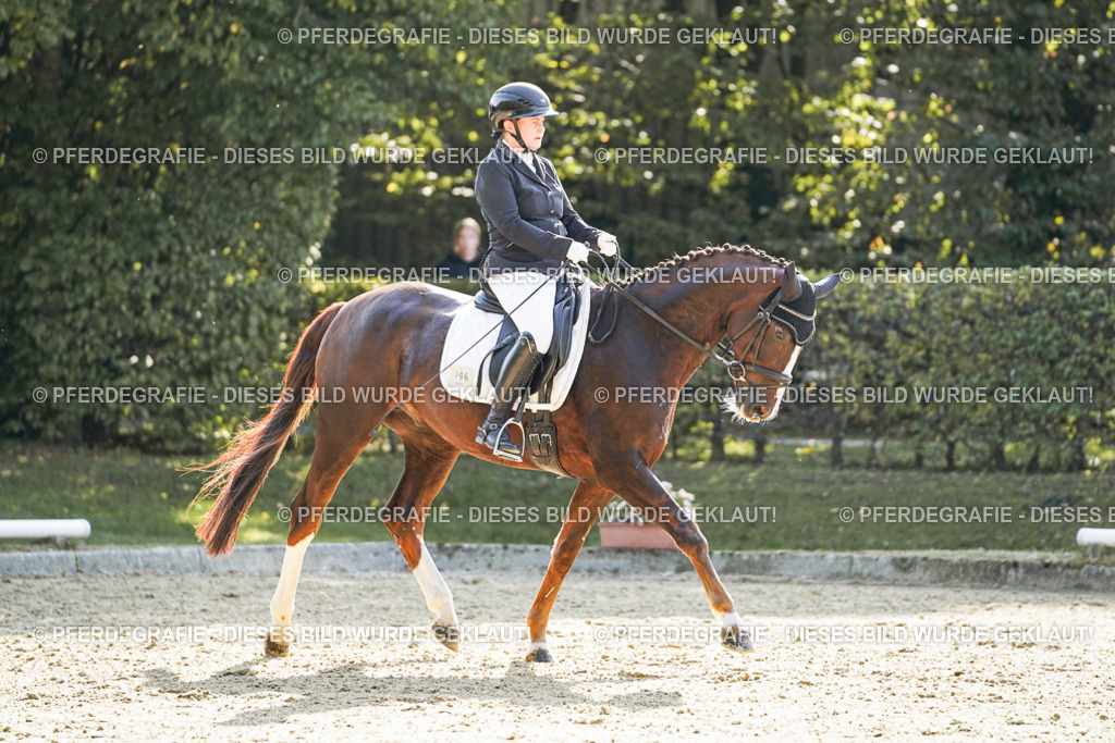 DSC06512 | Pferdegrafie