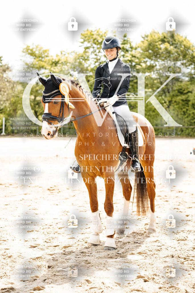 CK703613 | Turnierfotografie Pferdefotografie Trier Rheinland-Pfalz Pferdesport Reitsport Tierfotografie Sportfotografie Pferdevideo Pferdevideografie Equestrianvideography equestrianphotography  - Realisiert mit Pictrs.com