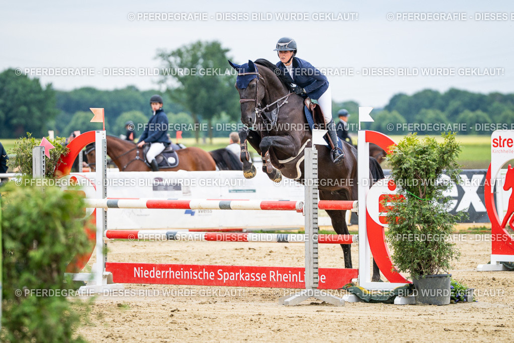 DSC06143 | Pferdegrafie