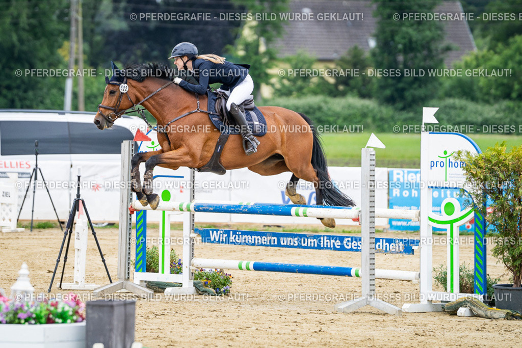 DSC03742 | Pferdegrafie