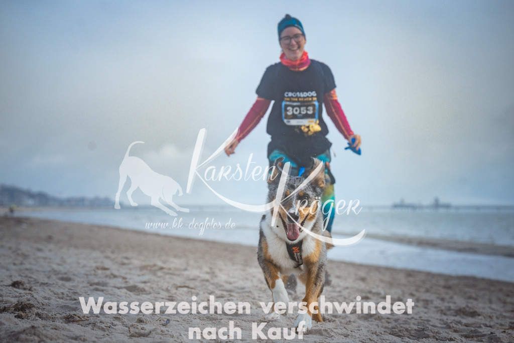 1121_ZZ97959 | kk-dogfotos