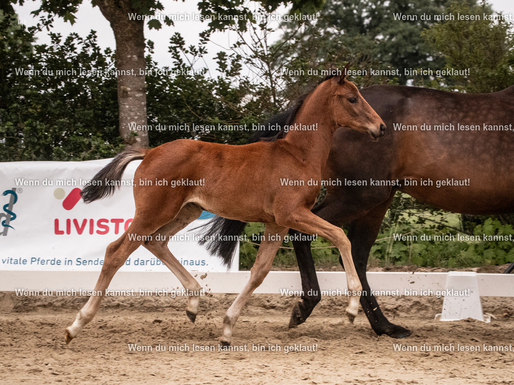 A10I6426 | photographylinaismer - Realisiert mit Pictrs.com