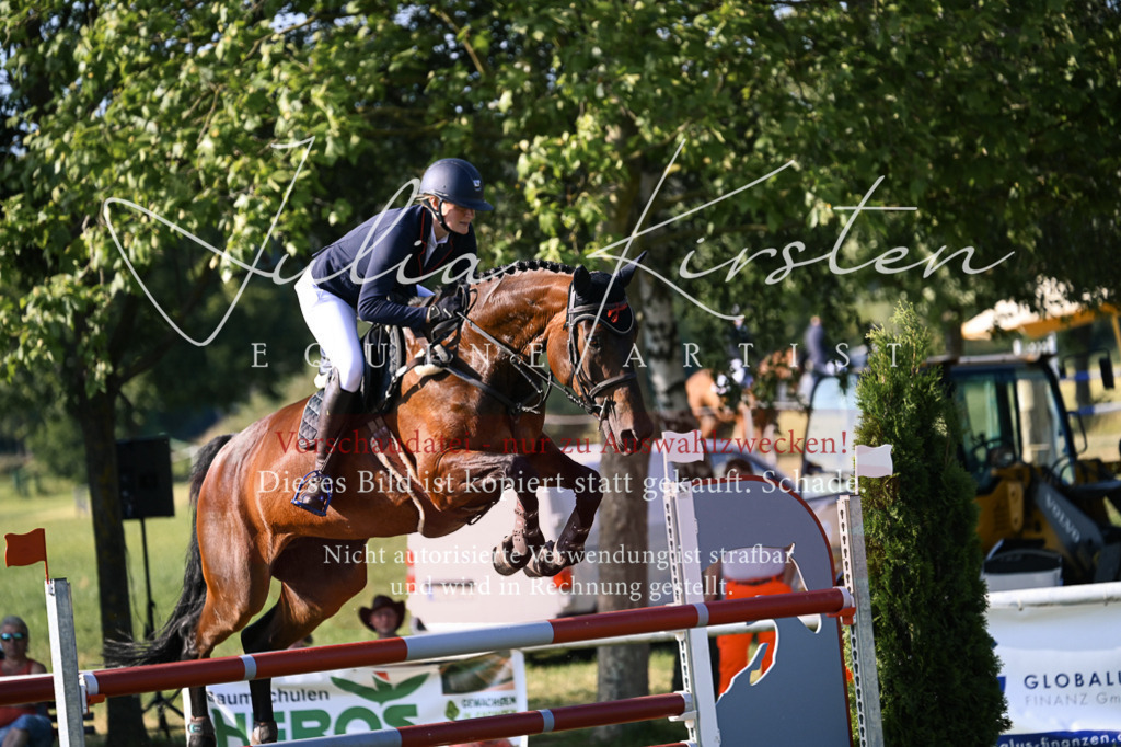 DSC_1650 | Pferde- und Turnierfotografie in Westsachsen. Pferdeportraits, Auftragszeichnungen und intuitive Kunst.