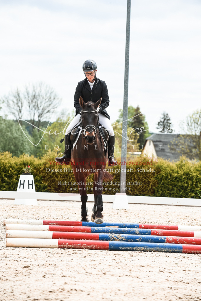 20230518_JK-Röhrsdorf-10-604 | Pferde- und Turnierfotografie in Westsachsen. Pferdeportraits, Auftragszeichnungen und intuitive Kunst.