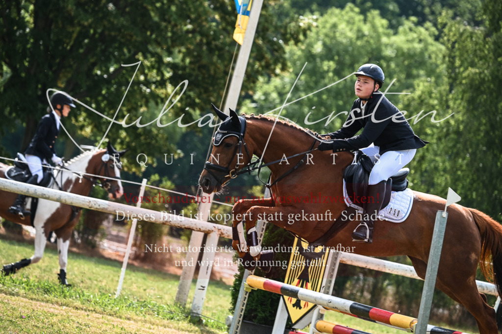 DSC_8175 | Pferde- und Turnierfotografie in Westsachsen. Pferdeportraits, Auftragszeichnungen und intuitive Kunst.
