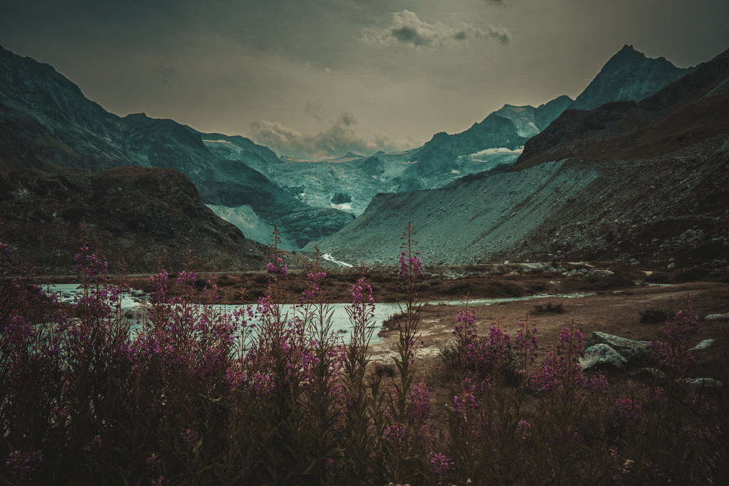 _DSC8503 | <meta name="keywords" content="Bergbilder, Hochzeitsfotografie, Actionshootings, Fotografiearbeiten, Berglandschaften, Naturfotografie">

 - Realisiert mit Pictrs.com