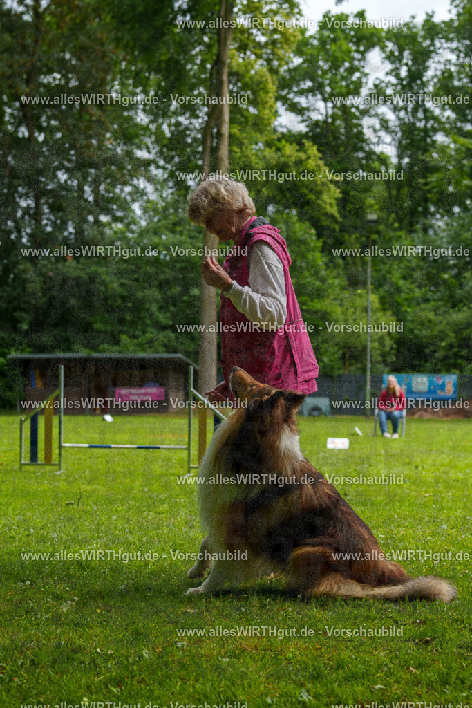 @allesWIRTHgut_Tierfotografie - www.allesWIRTHgut.de - 095041-7R507716 | Professionelle Tierfotografie in Mönchengladbach von Daniel Wirth (allesWIRTHgut). Liebevolle & natürliche Bilder von Hunden & Katzen für unvergessliche Erinnerungen.