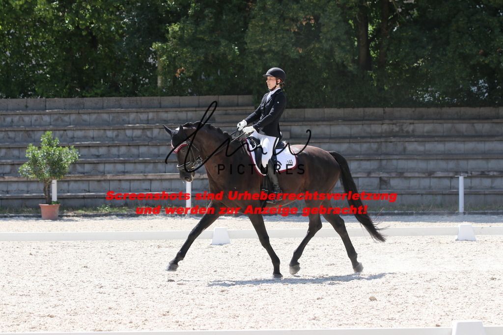 IMG_5186 | lmwpictures - Realisiert mit Pictrs.com