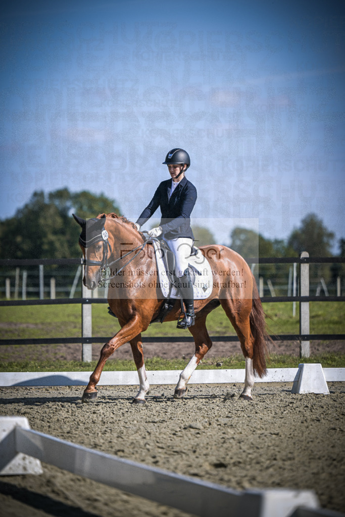 DOS_2677 | Entdecke hochwertige Reitturnierfotos von Foto Oger. Professionell, emotional und authentisch – jetzt Lieblingsmomente im Shop bestellen.Deutschlandweite Turnierfotografie. - Realisiert mit Pictrs.com