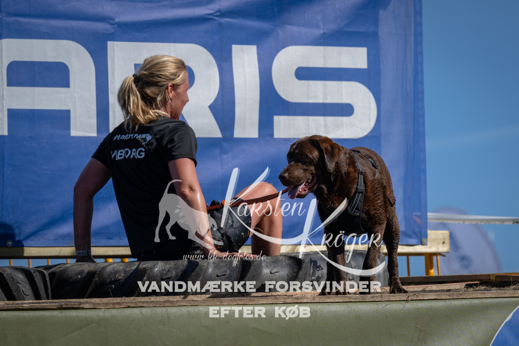 1113_ZZ90973 | kk-dogfotos