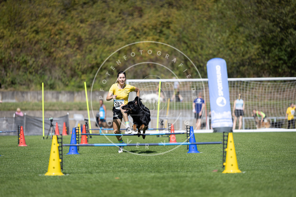 Pfotenfotografie_DV3A7140 | Hundefotografie, Tierfotograf, Pfotenfotografie, Fotoshooting Hund, Hunde Portrait, Hundesport, Hundeportraits, Heideshooting, Hunde, Sportfotograf, Hundefotograf, Turnierhundsport, THS,  - Realisiert mit Pictrs.com