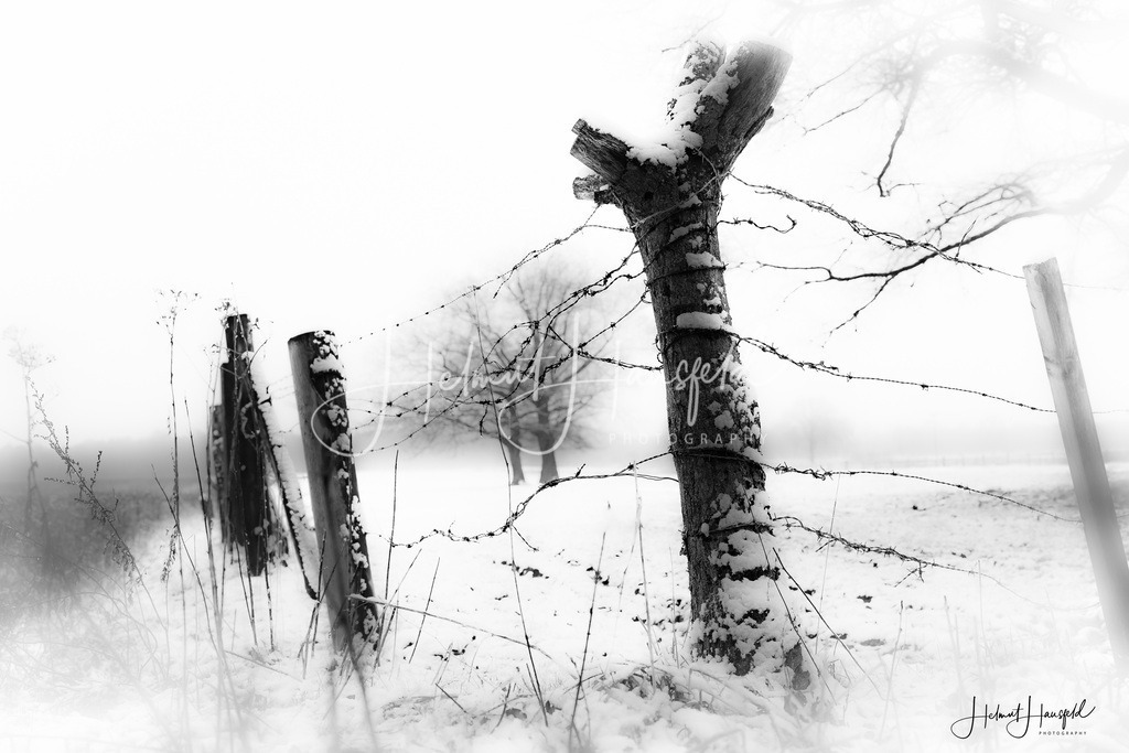 DSC05030kl | Landschaftsfotografie, Naturfotografie - Realisiert mit Pictrs.com