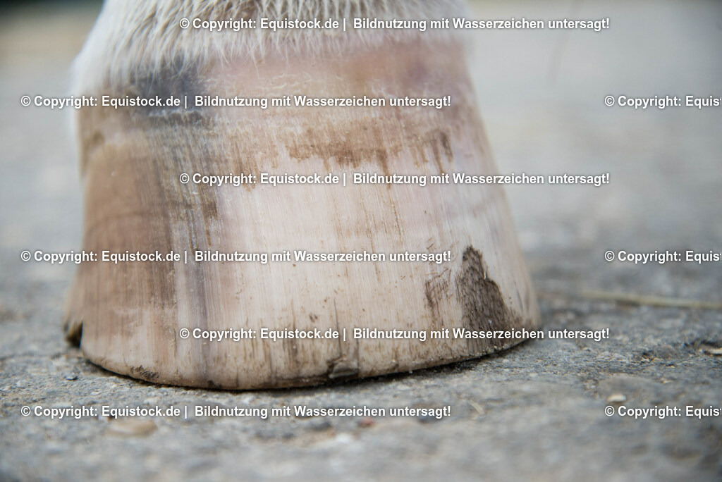 20160626_Ausgefranster_Tragerand_0003 | Foto: Thomas Hartig