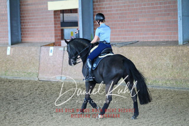 DKP42721 | Turniersportfotografie; Pferdefotografie; Dressurfotografie