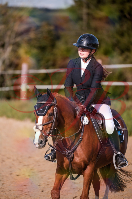 2026_10_03_Siefer-Hof_155833_Z81_78881954 | Professionelle Reitsport-, Turnier- und Eventfotografie von Robert Broda. Galerien mit ausgewählten und bearbeiteten Bildern direkt online ansehen und bestellen.