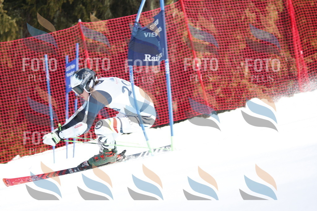 D8181 | holidayphoto