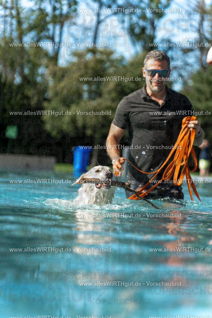 Hundeschwimmen_Volksbad_2026-allesWIRTHgut_Tierfotografie-2609061544-7R501743 | Professionelle Tierfotografie in Mönchengladbach von Daniel Wirth (allesWIRTHgut). Liebevolle & natürliche Bilder von Hunden & Katzen für unvergessliche Erinnerungen.