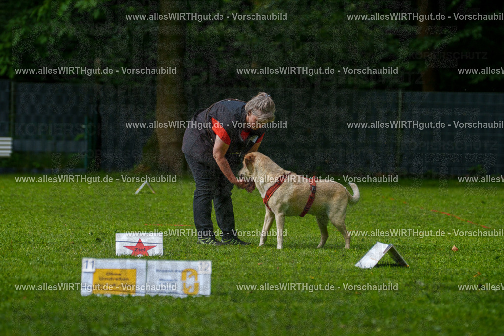 @allesWIRTHgut_Tierfotografie - www.allesWIRTHgut.de - 7R502257 | Professionelle Tierfotografie in Mönchengladbach von Daniel Wirth (allesWIRTHgut). Liebevolle & natürliche Bilder von Hunden & Katzen für unvergessliche Erinnerungen.