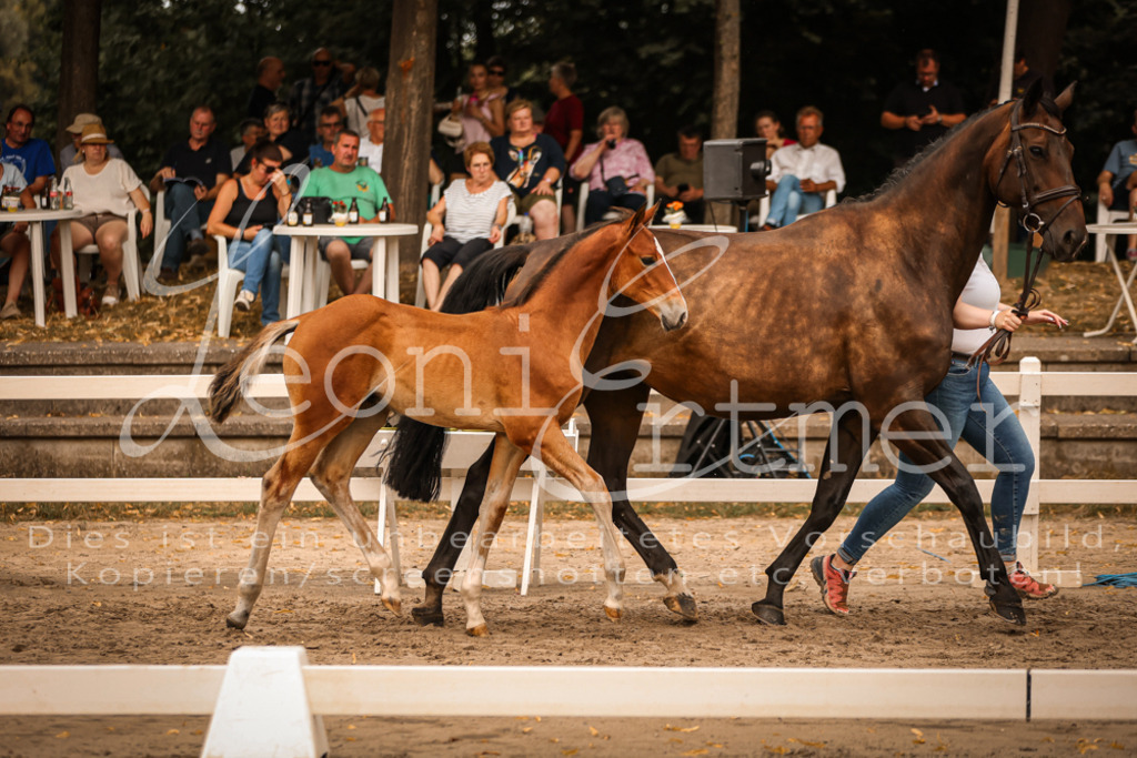 SaPA00228 | Leoni Ertmer Photography - Realisiert mit Pictrs.com