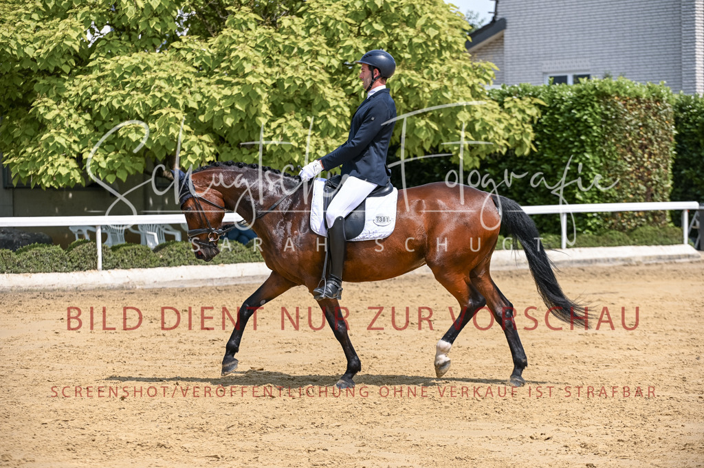 Schugtsche-Aluta25-53.Amat.Dressurprf.A2-295 | Schugtsche Fotografie - Realisiert mit Pictrs.com
